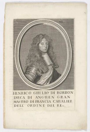 Bildnis des Henrico Guilio di Borbon
