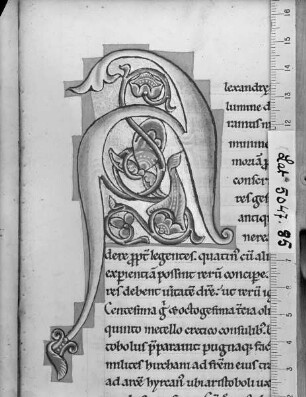 Flavius Iosephus: Antiquitatum Iudaïcarum ; De bello Iudaïco libri septem / Flavii Josephi antiquitatum Judaïcarum libri viginti : ad calcem subjicitur sancti Hieronymi de Josepho testimonium. — Initial A(lexandre ...), Folio fol. 85