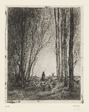 Rückkehr der Schafherde