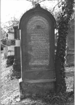 Grabstein 250 (Index: 99786856) Zustand: oberhalb des Sockels abgebrochen und zementiert Maße HxBxT: 172x69x21 cm: Grabstein 250