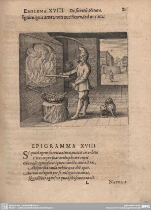 Emblema XVII. De secretis Naturae.