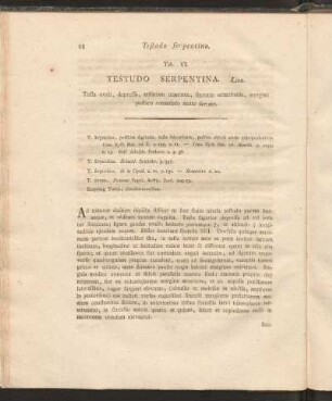 Tab. VI: Testudo Serpentina