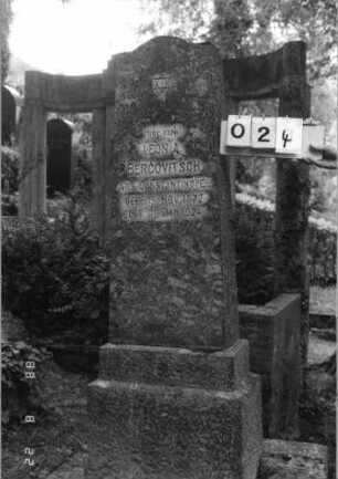 Grabstein 24 (Index: 100080069) Material: Granit Zustand: verwitttert Maße HxBxT: 160x40x18 cm Beschreibung: konische Stele, getreppter Sockel, Konvexbogenabschluß Symbolik: Davidstern: Grabstein 24