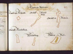 Engelberger Hut: Engelberger Oberhofs im Buchrein, Wald im Buch, Minchskling, Oberhof Minchskling und andere