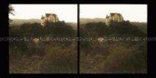 Blick zum Schloss Salenstein