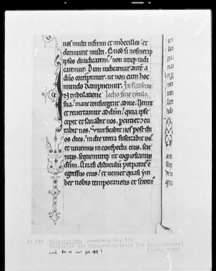 Lektionar, Ms. 119, folio ?, Textseite mit Filigraninitiale I(n tribulatione)
