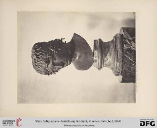 Musée de Naples. Apollon