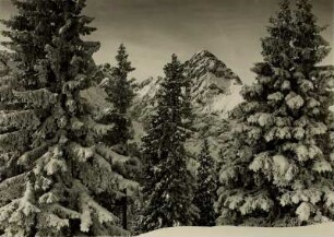 Oberbayern im Winter - Waxenstein vom Kreuzeck bei Garmisch