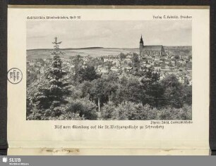 Blick vom Gleesberg auf die St. Wolfgangskirche zu Schneeberg