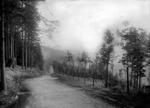 Rastplatz 3 Bank´ln : Alte Schmalzgrubner Straße; nach 1918 Gedenkstätte für gefallene Waldarbeiter