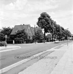 Fritz-Reuter-Straße: mit Fahrradweg, Fußgängerweg: links Einmündung Immanuel-Kant-Straße: Pkw, Fahrradfahrer, Fußgängerin: Straßenbäume, Strommast, Straßenlampe: hinten Einzelhäuser