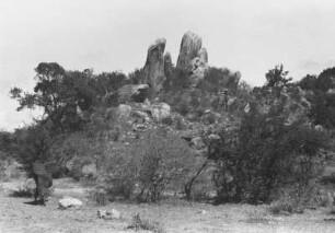 Granitklippe vor Dongobesch : Felsenlandschaft mit Bäumen
