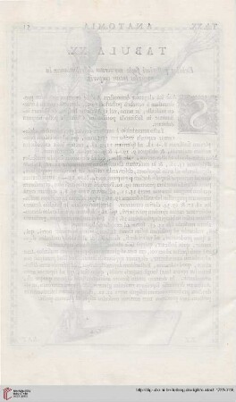 Tabula XXI-XXV