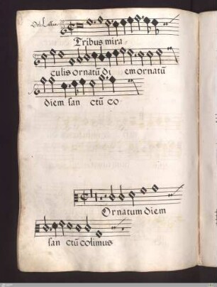 Orlandus Lassus : Tribus miraculis