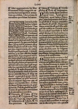 Liber secretorum de virtutibus herbarum