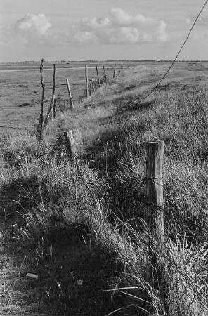 Darßer Landschaft