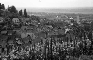 Varnhalt: Blick vom Weinberg auf den Ort