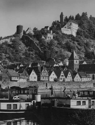 Archivfotografie "neckar_hirschhorn_p1097"