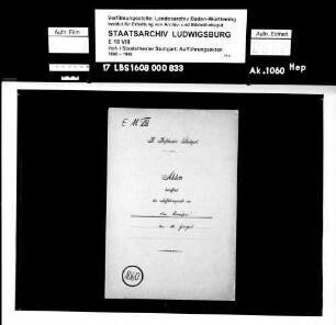 Der Revisor. Schauspiel von Nicolai W. Gogol