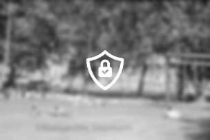 Badeanstalt am Herrenteich: Liegewiese mit Badegästen: dazwischen Spielgeräte und Schachbrett mit Figuren: hinter Bäumen Badesteg