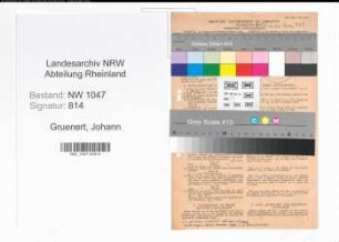 Entnazifizierung Johann Gruenert , geb. 22.11.1910 (Ingenieur)
