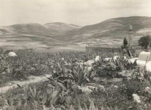 Zentralpalästina. Landschaft bei Samaria
