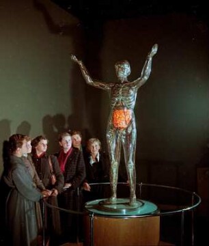 Besucher im Deutschen Hygiene-Museum Dresden an der Gläsernen Frau