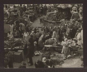 Detmolder Markt. Detmold. Marktplatz