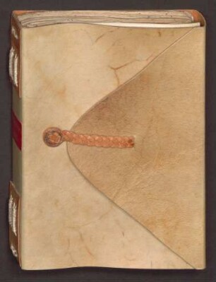 Macer Floridus - ‘Goldenes Ave Maria’ - Von dem üblen Weib - Tobiassegen : Hdschr. 228