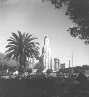Hochhaus : Reisefotos Argentinien. Buenos Aires. Palme, Hochhaus (1925/1927) und Mehrgeschosser