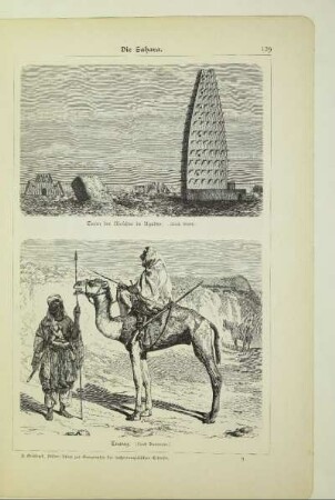 Tuareg