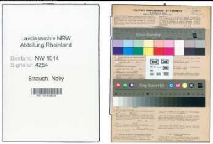 Entnazifizierung Nelly Strauch , geb. 26.01.1889 (Kauffrau)