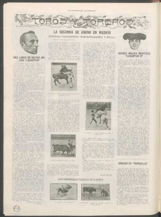 Toros y toreros : [Continuación]