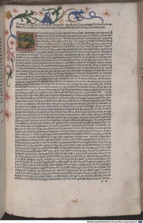 Satirae : mit Kommentar und mit Widmungsbrief an Giuliano de' Medici von Domitius Calderinus. Mit Vita Iuvenalis