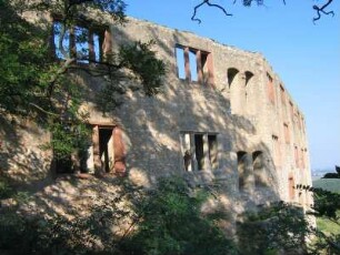 Burg Landskrone