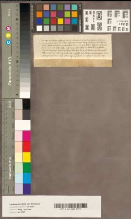 Johann von Cuesin, Schöffe zu Köln, quittiert wegen Costin Pantaleon, über achteinviertel Gulden Leibzuchtrente.
