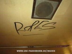 RaPES
