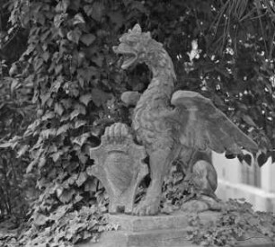 Drache mit Wappen