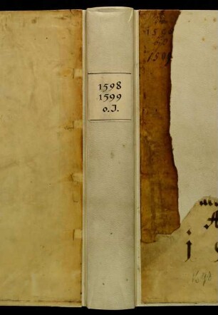 Ratsprotokolle, 1598 Juli 31. - 1599 Juni 7.
