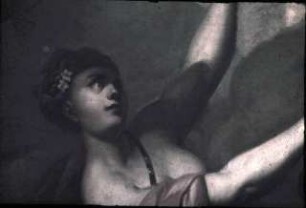 Der Raub der Proserpina