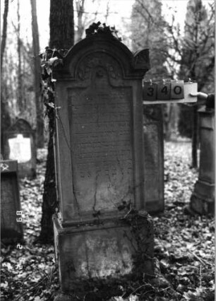Grabstein 340 (Index: 99752538) Material: Sandstein Zustand: leicht verwittert mit Textverlust Maße HxBxT: 171x52x31 cm Beschreibung: eingezog. Rundbogenabschl. m. stilisiert. Mittel-u. Eckakroteren, Schrift eingetieft Symbolik: Zweige, Blätter: Grabstein 340