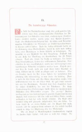IX. Die barmherzige Schwester.
