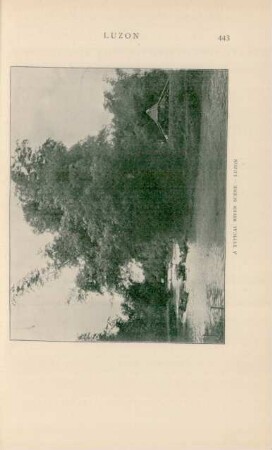 A typical river scene - Luzon