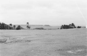 Wüste mit Oase (Libyen-Reise 1938)