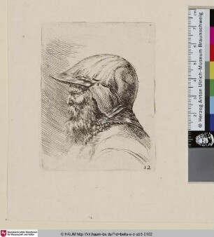 Bärtiger Soldat mit Helm im Profil