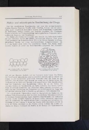 Makro- und mikroskopische Beschreibung der Droge.