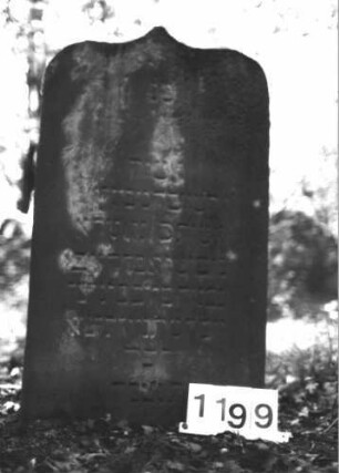 Grabstein 1199 (Index: 99899957) Material: Sandstein Zustand: angewittert Maße HxBxT: 98x55x10 cm Beschreibung: Stele mit Kielbogenabschluss, vom Bogenfeld aus seitlich herabhängende Ranken Symbolik: Ranken: Grabstein 1199