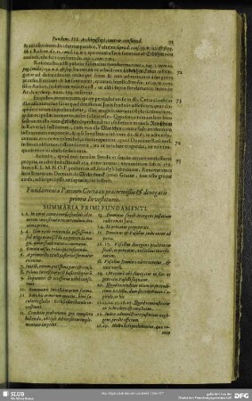Fundamenta Parium Curiae ex praetermißis & denegatis primis Investituris. Summaria Primi Fundamenti
