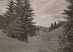 Erzgebirge. Tal der Kleinen Bockau. Wiesental oberhalb der Höllengrundschenke