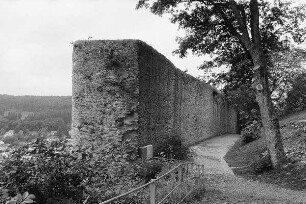 Burg Reifenberg (Burg); Schmitten, Burgruine Reifenberg